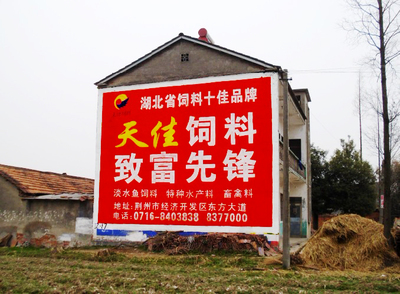 荊州墻體廣告天佳飼料